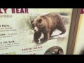 Detroit Zoo Pt 6
