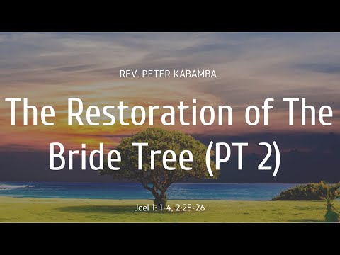 Rev Peter Kabamba: The Restoration of The Bride Tree - 07/12/2020