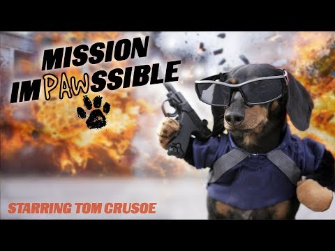 Ep 18: MISSION IMPOSSIBLE with Tom Crusoe! — Exciting Dog Action Movie