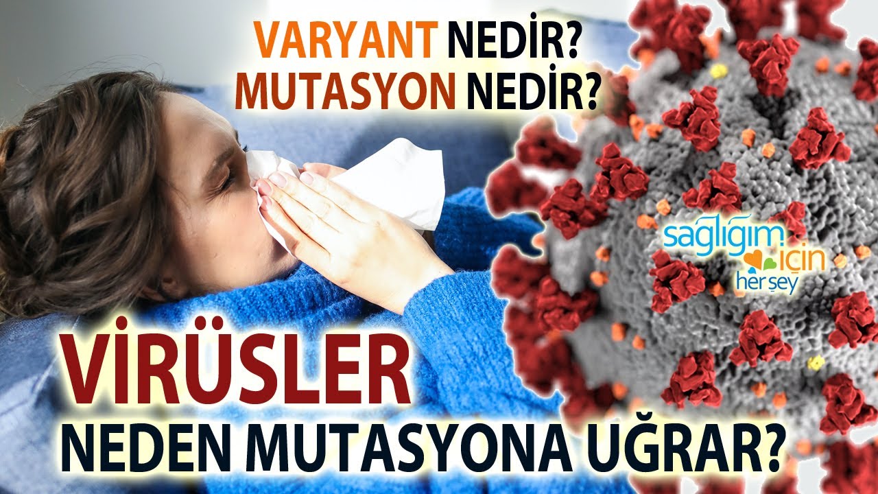 Virüsler Neden Mutasyona Uğrar?