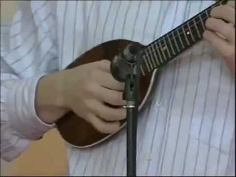 Halid Muslimovic & Tuzlanski Tamburasi - Svirajte mi djelem djelem (uzivo TK 2008)