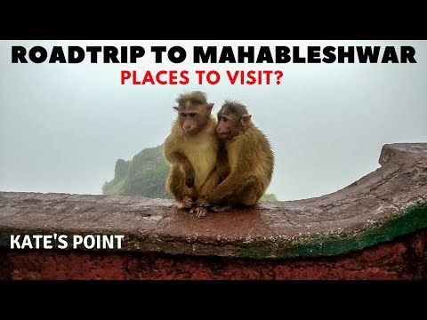 download lagu mp3 mp4 Mtdc Kaas Plateau, download lagu Mtdc Kaas Plateau gratis, unduh video klip Mtdc Kaas Plateau