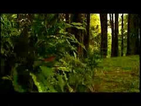 Jennifer Salinas. Te creeré