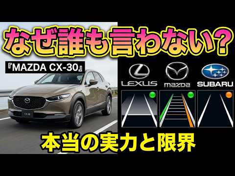他のユーチューバーが真実を言わない理由は？