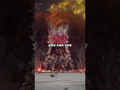 Elden Ring DRAGON WARRIOR Build! #eldenring #eldenringbuilds #shorts