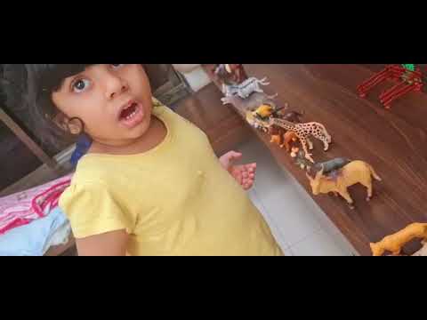 Animals and their babies