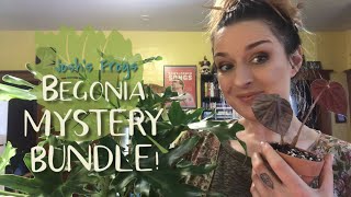 Plant Chores & Unboxing - Josh’s Frogs Begonias!