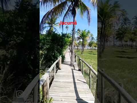 Jacumã #bahia #brasil #praia #ferias #praia #espelho #portoseguro #caraiva #fazendajacuma