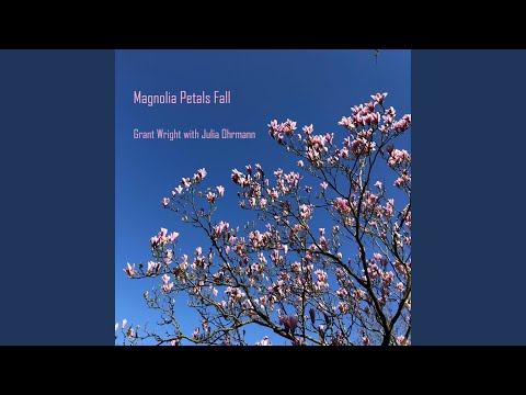 Magnolia Petals Fall