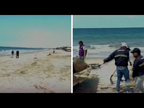 Activan alerta ambiental por sustancia química en playa de Santa Elena