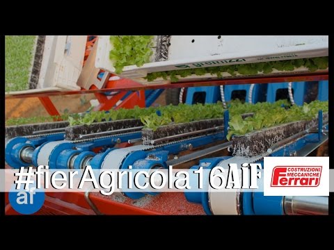 Trapiantatrici Ferrari Growtech