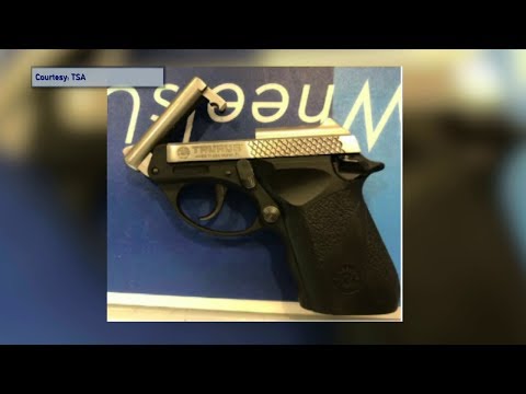 NJ Newark TSA Gun Numbers