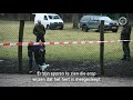 Hert gedood in Epe: ingewanden achtergelaten