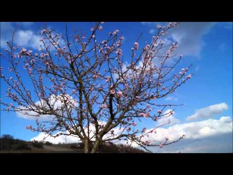 Die Schröders 30 Meter