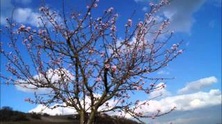 Die Schröders 30 Meter