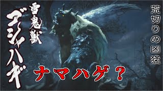 【モンスターハンターライズ】里６ゴシャハギ（ライトボウガン・ソロ）