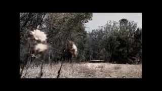 South - Loosen Your Hold