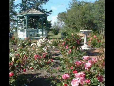 Perry Como - When Your Hair Has Turned To Silver