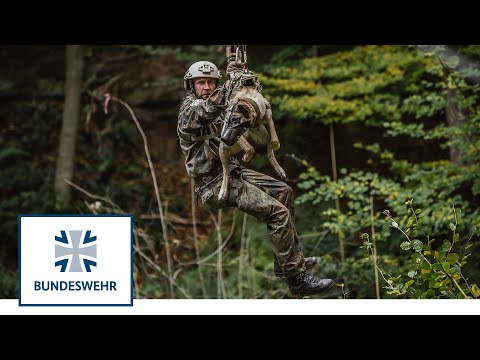 Diensthunde schockt nichts! Ausbildung bei den Feldjägern | Bundeswehr