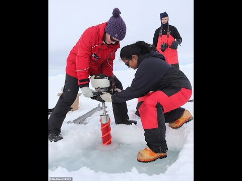 The dirty secret of pristine Antarctica: polluted like the port of Rio de Janeiro – of course by humans… [videos]