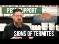 What Are Visible Signs of Termites | Pest Support