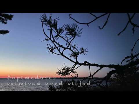 Sadamasild - Õrntumedana