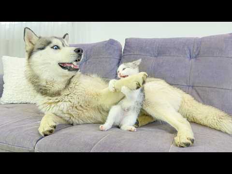 YouTube 썸네일