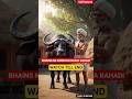 The Buffalo That Flooded The Village With Milk Episode 3 AI Shorts Farmer Buffalo Milk