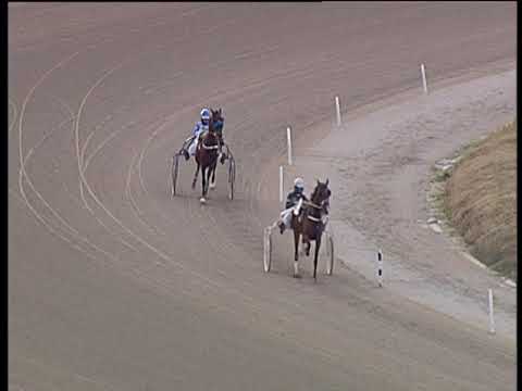 Trotto 18/01/2019 - 1ª prova di qualifica