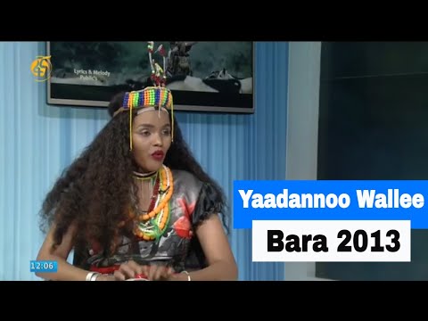 Yaadannoo Wallee Bara 2013