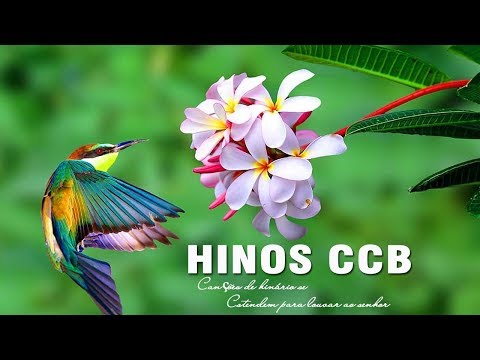 Hinos CCB 2020 - Canções De Hinário Se Estendem Para Louvar Ao Senhor Álbum Completo Vol 32, Vol34