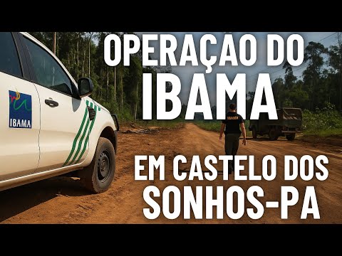 IBAMA's strong operation in Castelo dos Sonhos PA, causes indignation in many families, check it ...