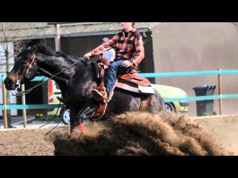 chics n stars gilles huyghe