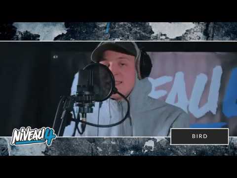 Niveau 4 Sessie #3 – Bird