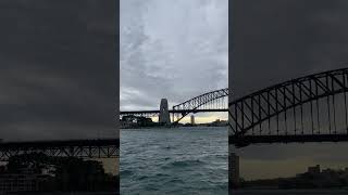 Carnival Splendor at Circular Quay - Sydney #shorts #australia #cruise #cruiseship #carnival