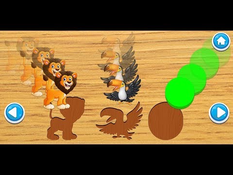 Puzzles for Kids of Preschool  Video