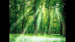 Montibus Communitas - Apu