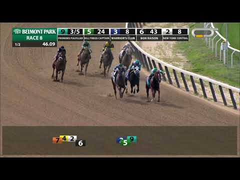 Promises Fulfilled - 2019 - The John A. Nerud Stakes en Espanol