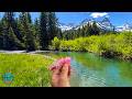 Streamer Fly Fishing Montana For BIG Trout It Was Insane