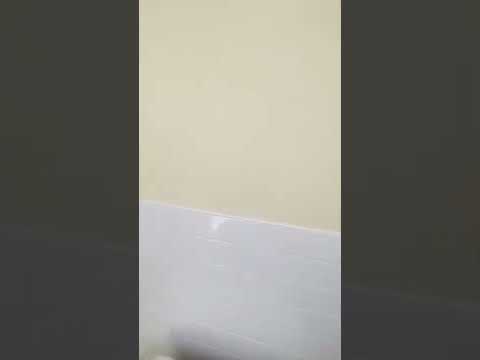 1529 W. Cary St. - Video 2 of 2