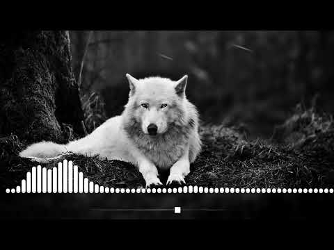 Руслан Добрый, Tural Everest -Волки (Ahmad Remix) New 2021