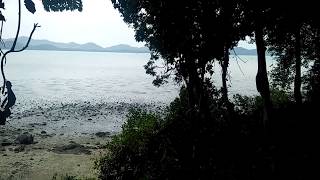 Breathtaking Phang Nga Bay Views from this Large Flat Land Plot in Koh Yao Noi