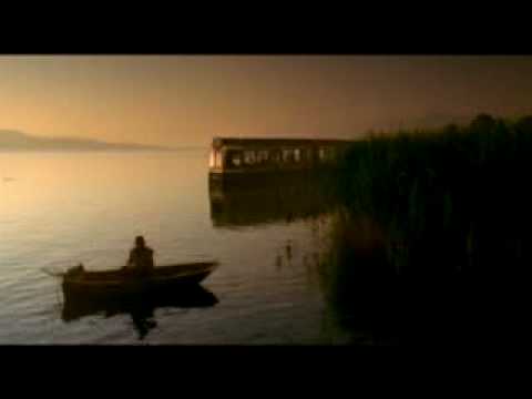 ZVV Zürich Werbung Tramschiff