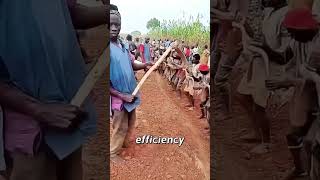 Download lagu Hardworker African people / plowing the land #short #african mp3