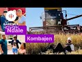 Biba E Martini Rrehen Per Kombaj Cili Me Korre Grunin I Pari