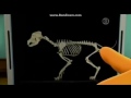 PBS Kids Sid The Science Kid Promo