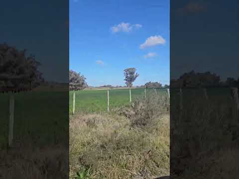 recorriendo los pagos  donde naci en  Vejigas Canelones Uruguay