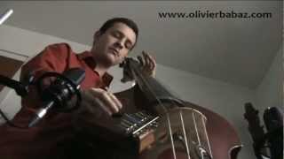 Take Five - Olivier Babaz - Bass & Kalimba