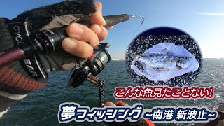 初場所で謎の魚出現！！？
