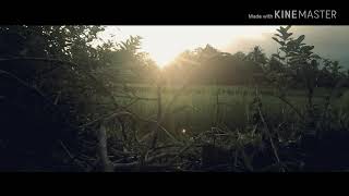 preview picture of video '#CINEMATIC | The Beautiful Sunset in Farm Field'
